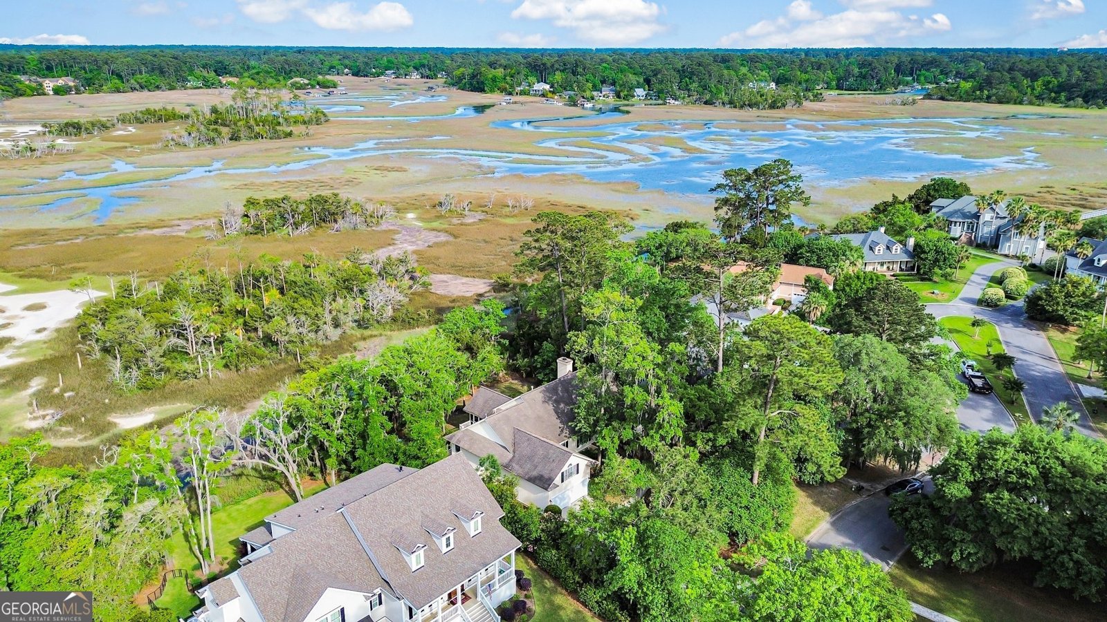 45 45 Herons Nest Savannah - 4