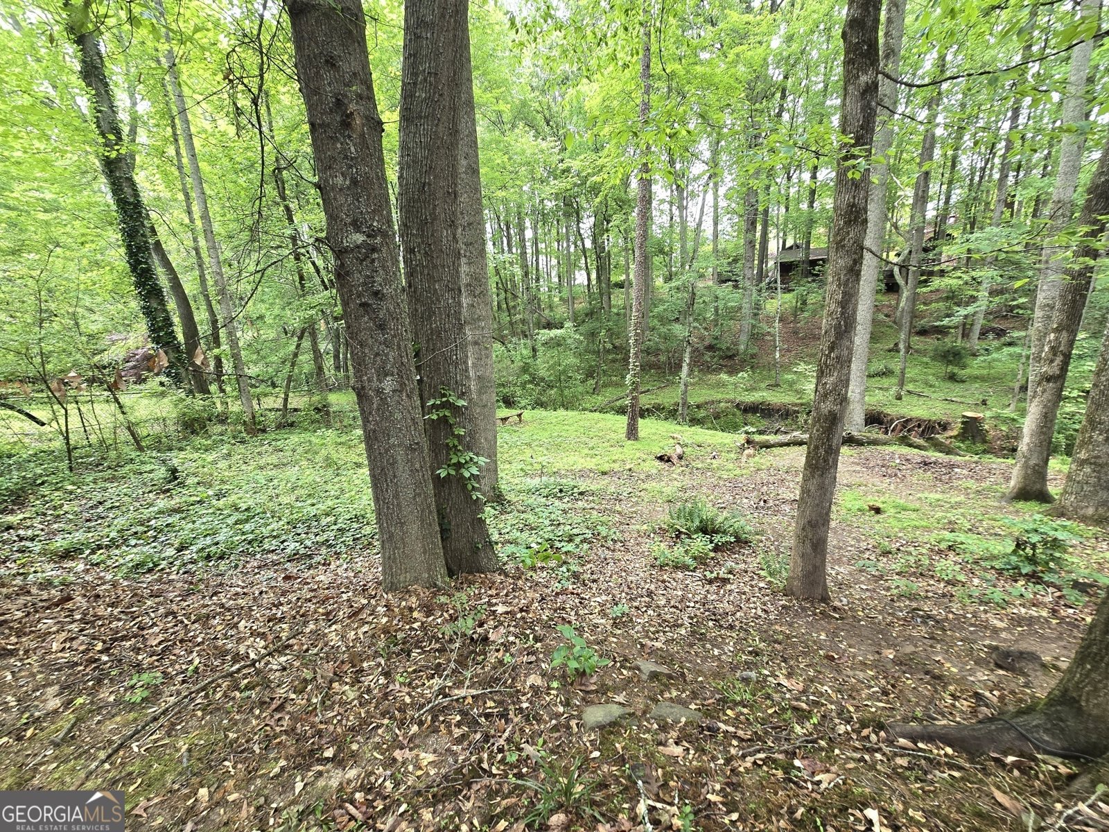 80 Jacksons Valley Sharpsburg - 31