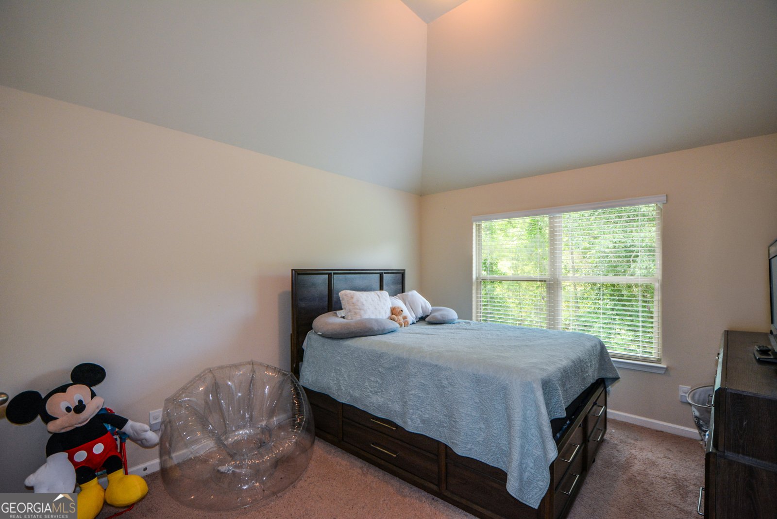 6816 Diamond Drive Rex - 27