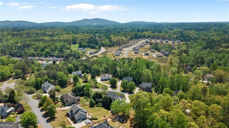 4030 Scenic View Court Cumming - 58