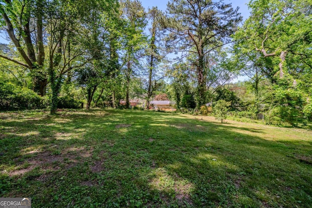 4442 Mercer Road Decatur - 22