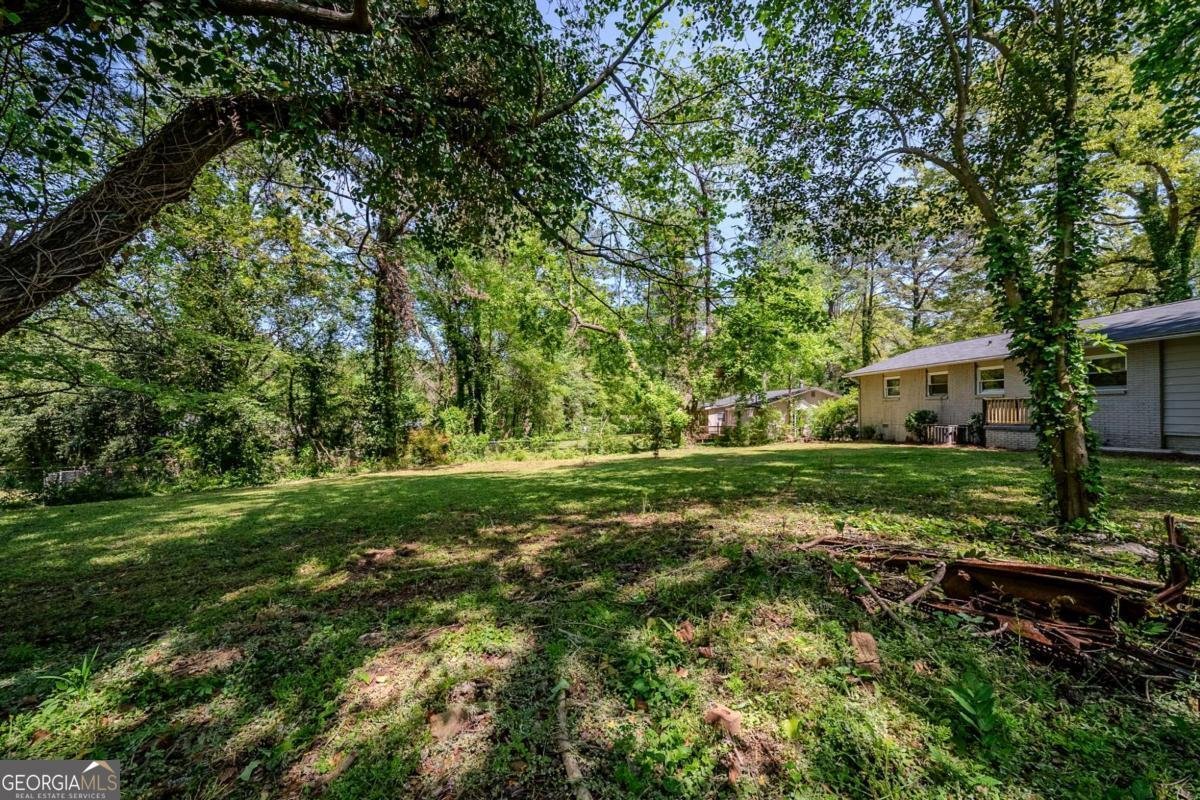 4442 Mercer Road Decatur - 23