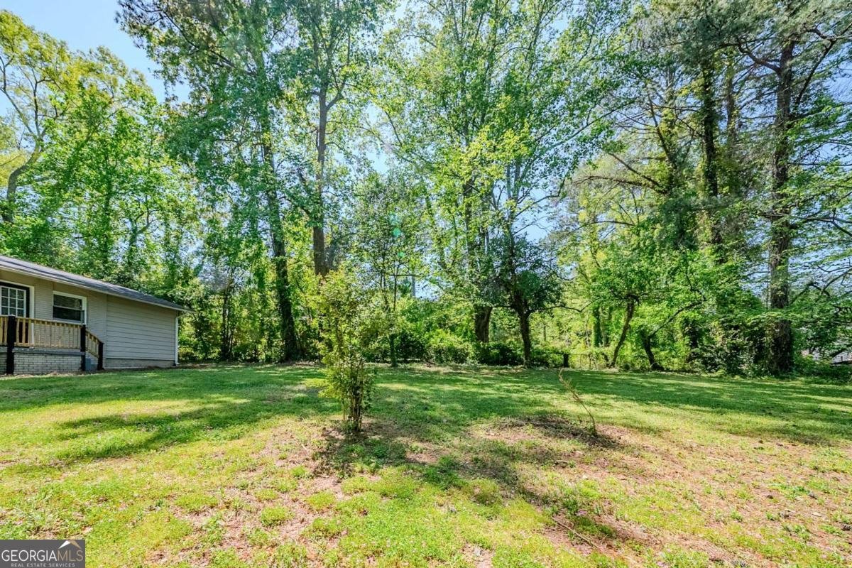 4442 Mercer Road Decatur - 25