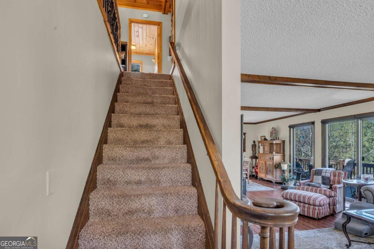 206 Peckerwood Road Hayesville - 53