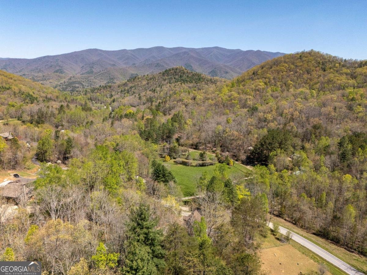 206 Peckerwood Road Hayesville - 6