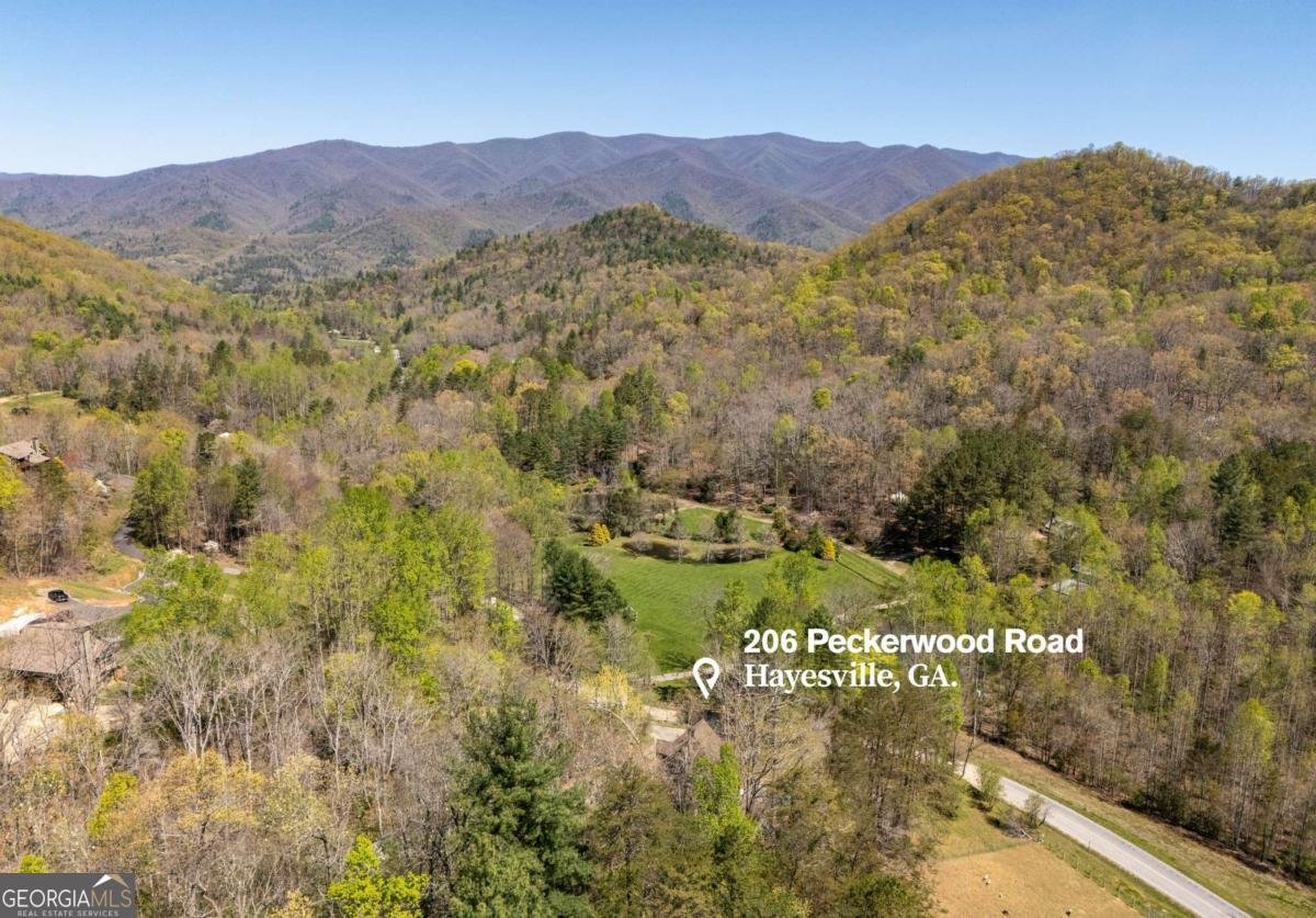 206 Peckerwood Road Hayesville - 80