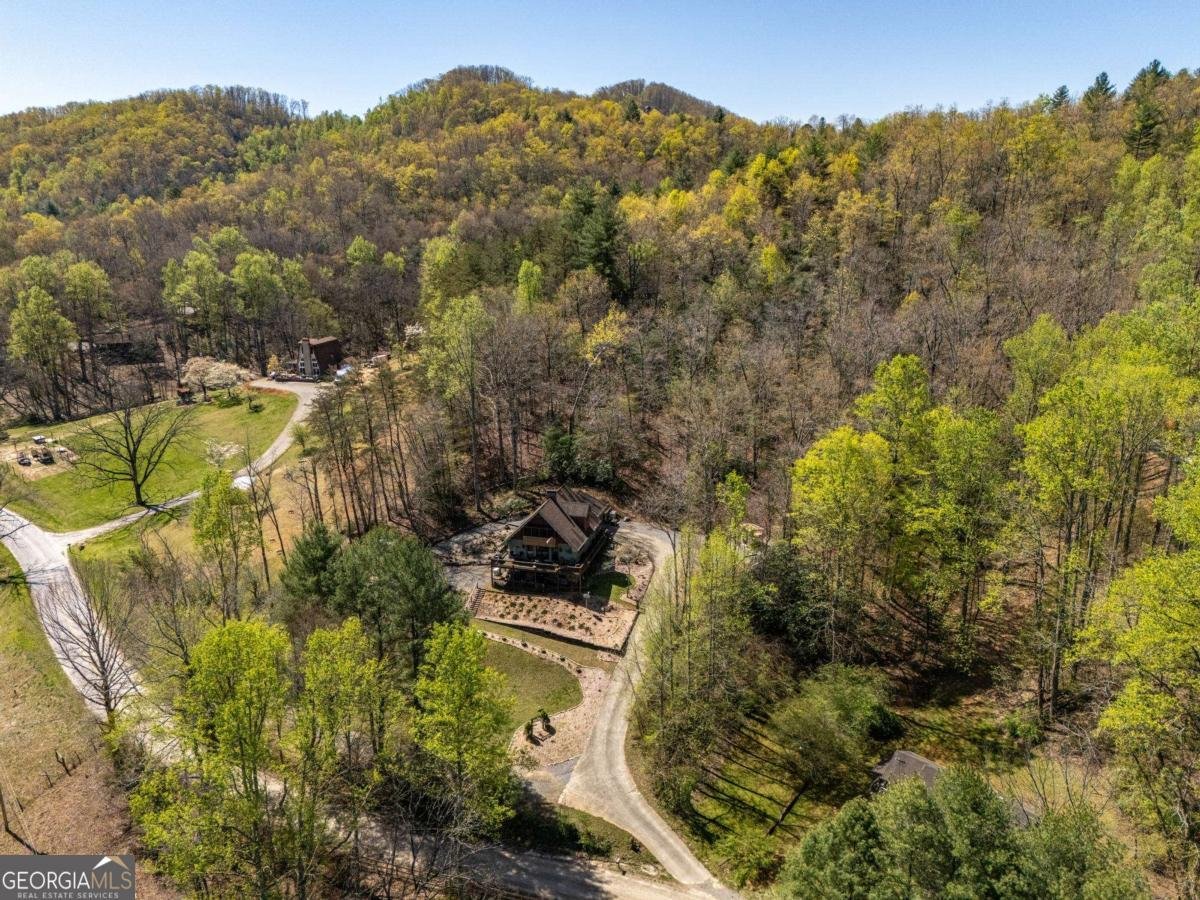 206 Peckerwood Road Hayesville - 9