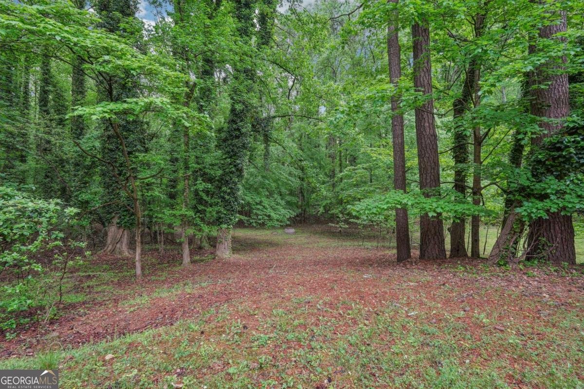 2895 Shurburne Drive Alpharetta - 51