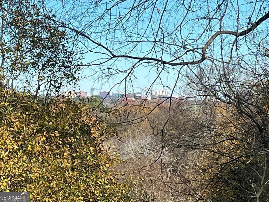 2897 Macaw Street Atlanta - 13