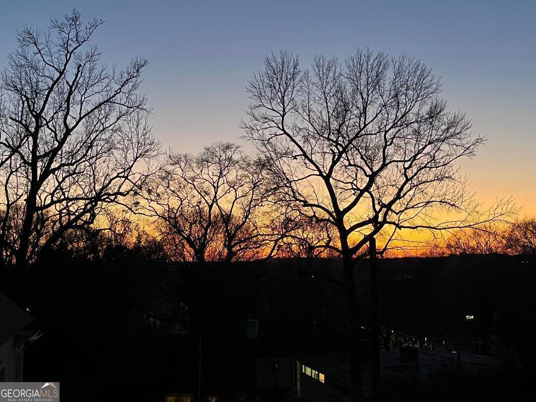 2897 Macaw Street Atlanta - 14