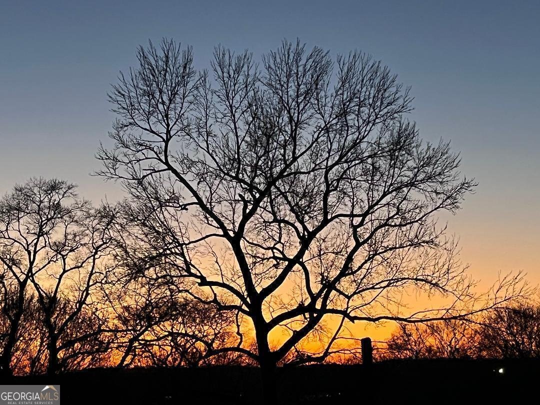 2897 Macaw Street Atlanta - 15