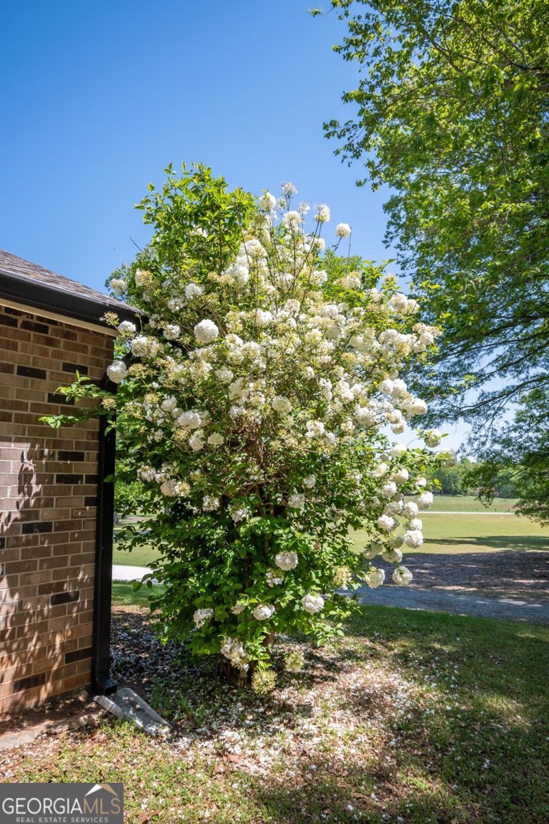 749 Diamond Hill Colbert Road Colbert - 52