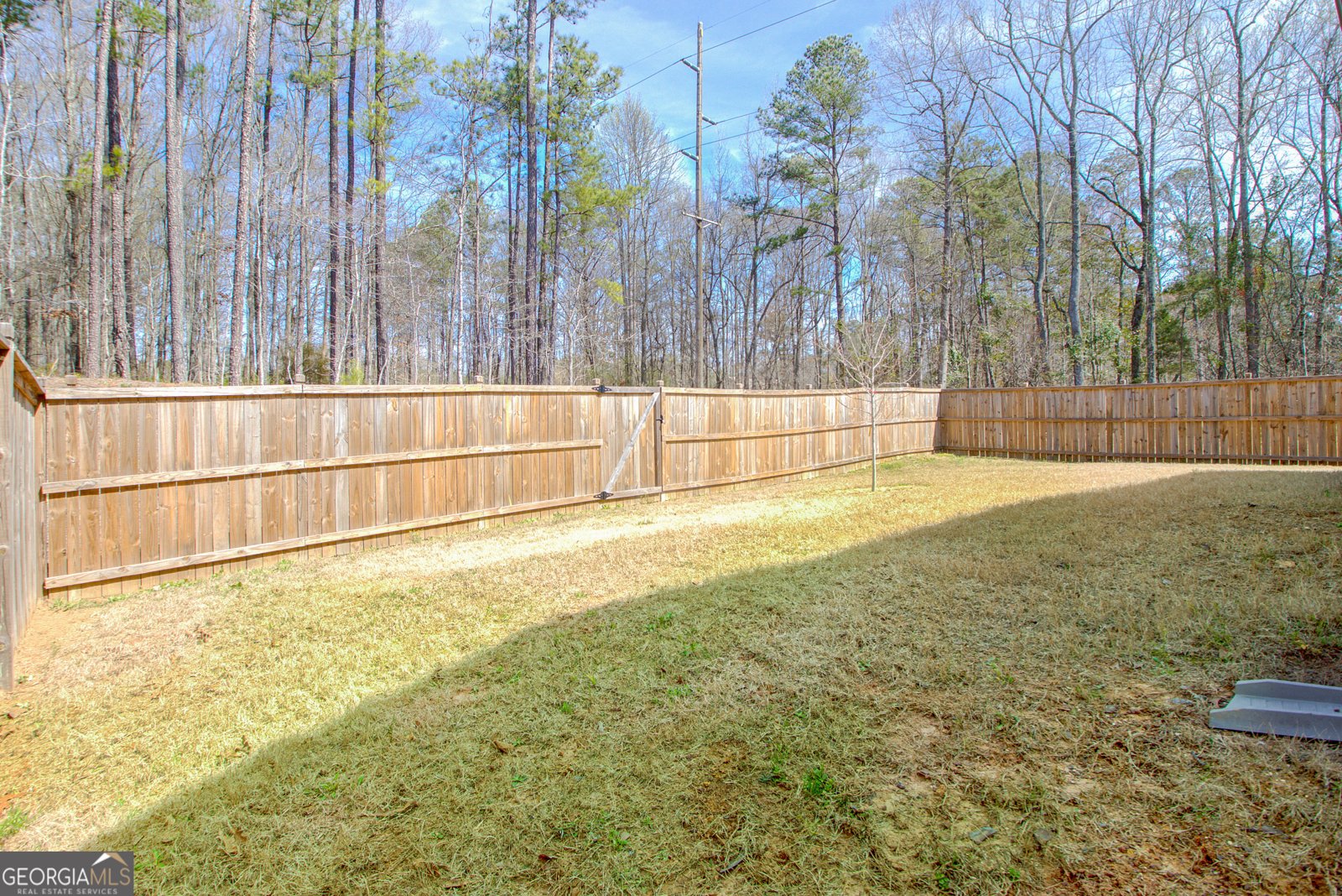 221 Caledonia Court Peachtree City - 40