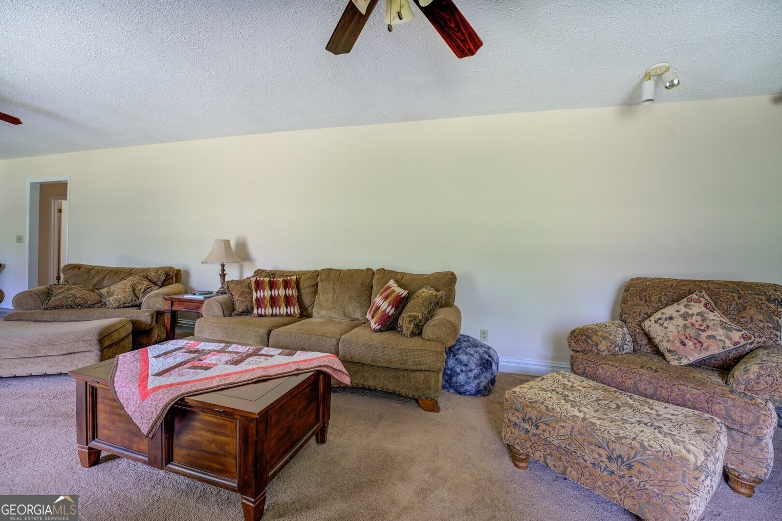 331A County Line Road Jenkinsburg - 22