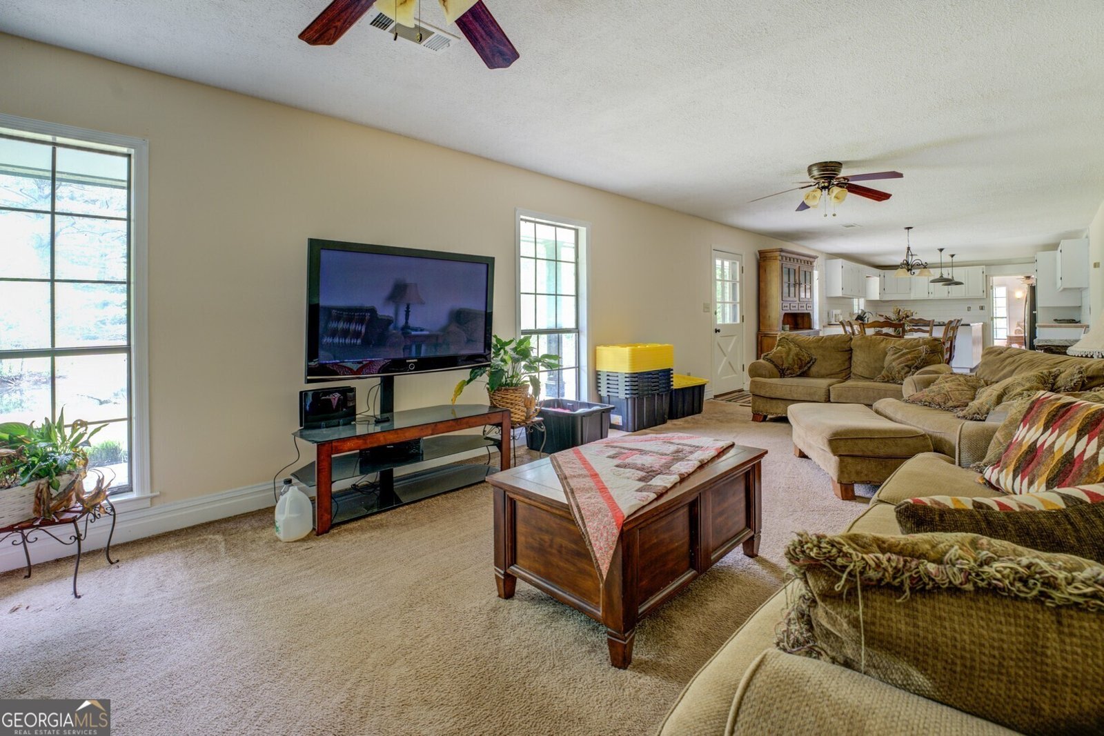 331A County Line Road Jenkinsburg - 23