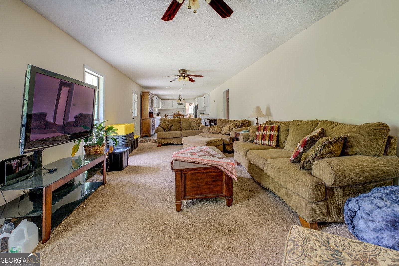 331A County Line Road Jenkinsburg - 24