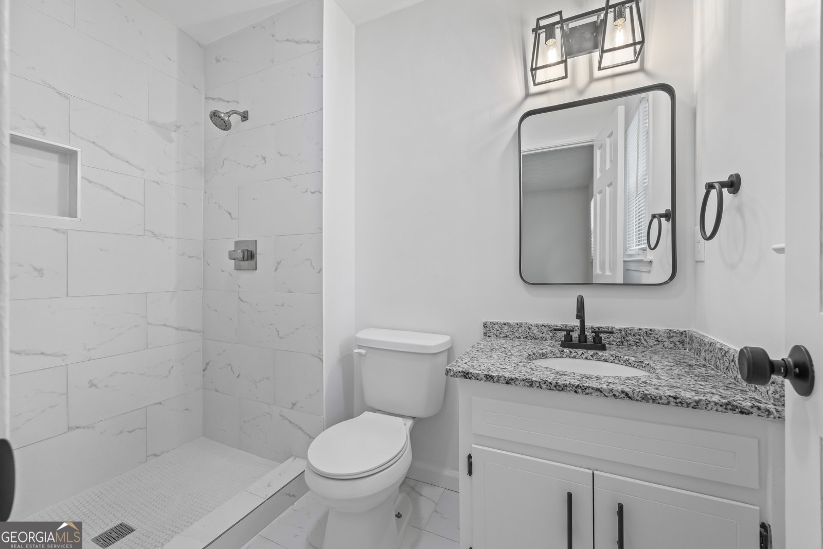 3717 Birchbriar Court Decatur - 43