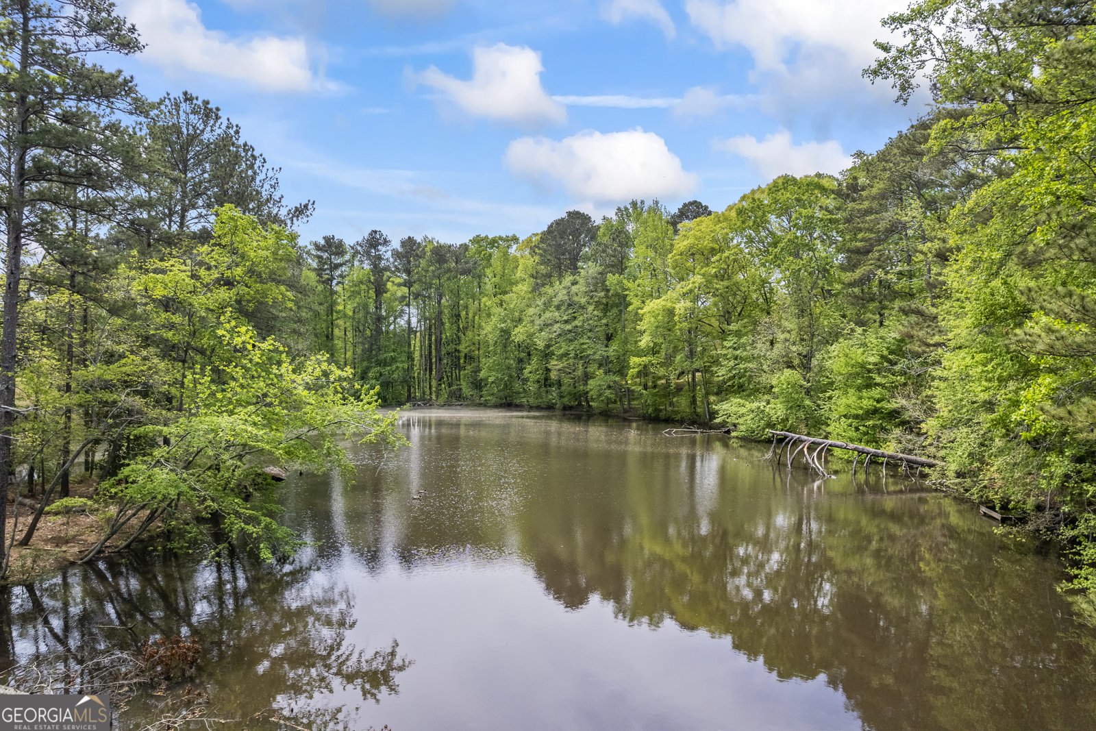 3717 Birchbriar Court Decatur - 53