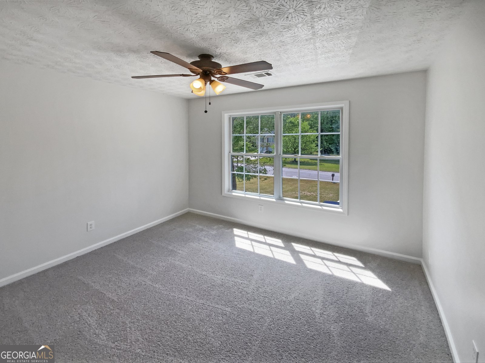 156 Hawthorn Drive Carrollton - 15
