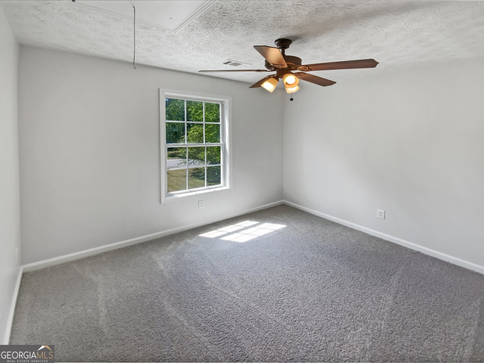 156 Hawthorn Drive Carrollton - 16