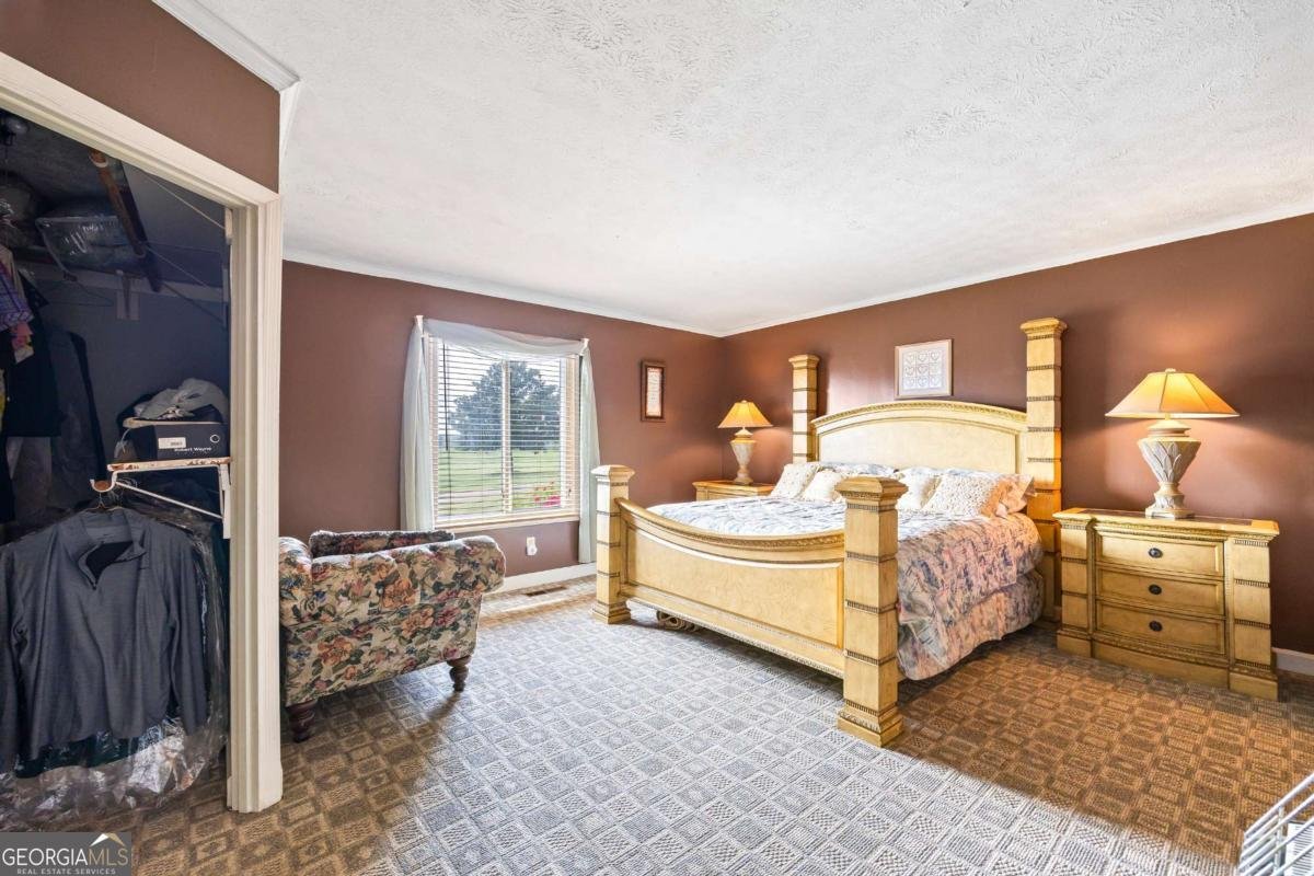 1691 Snows Mill Road Bogart - 30
