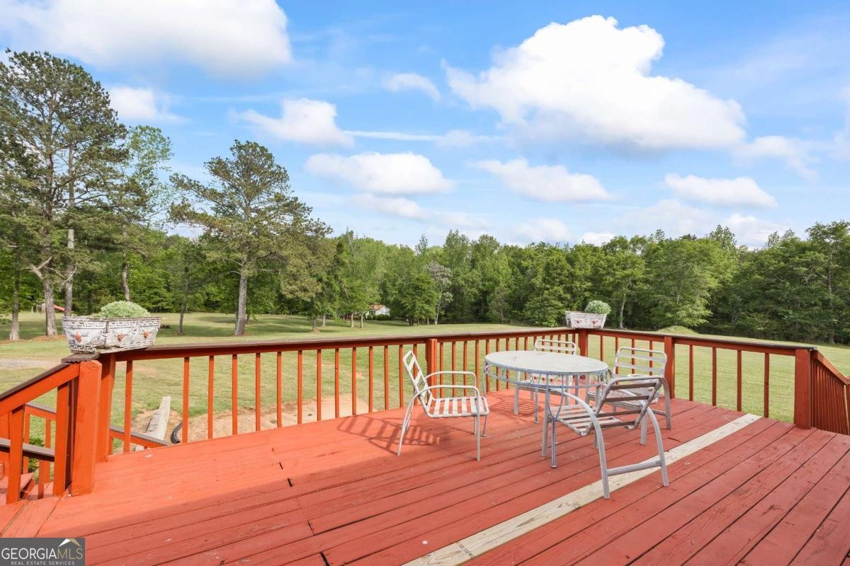 1691 Snows Mill Road Bogart - 33