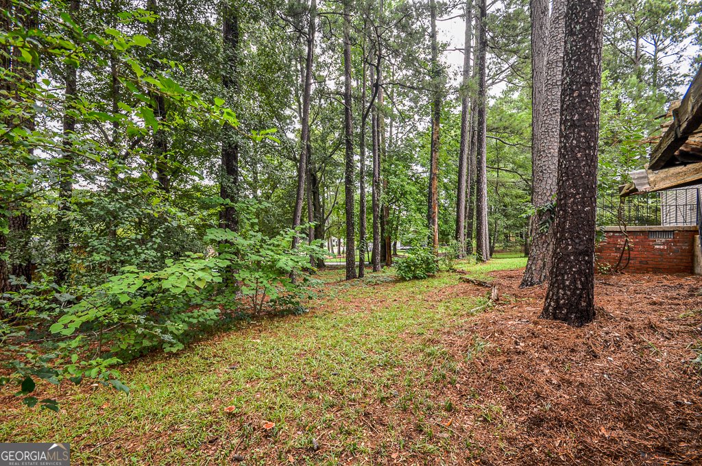 1705 Atherton Drive Decatur - 48
