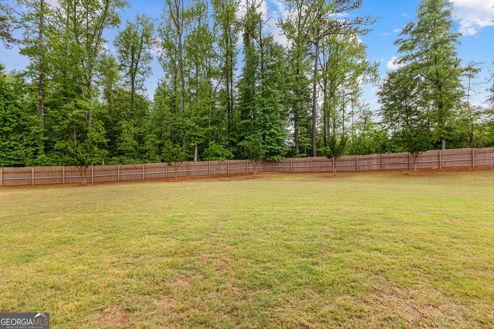 215 Duck Drive Senoia - 60