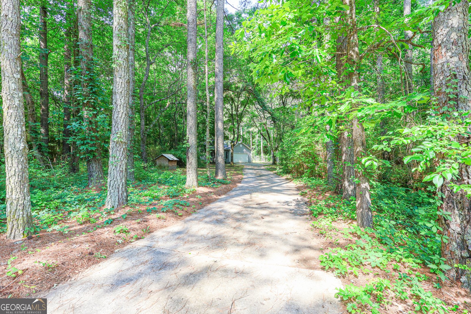 499 pinewood Drive Gay - 33