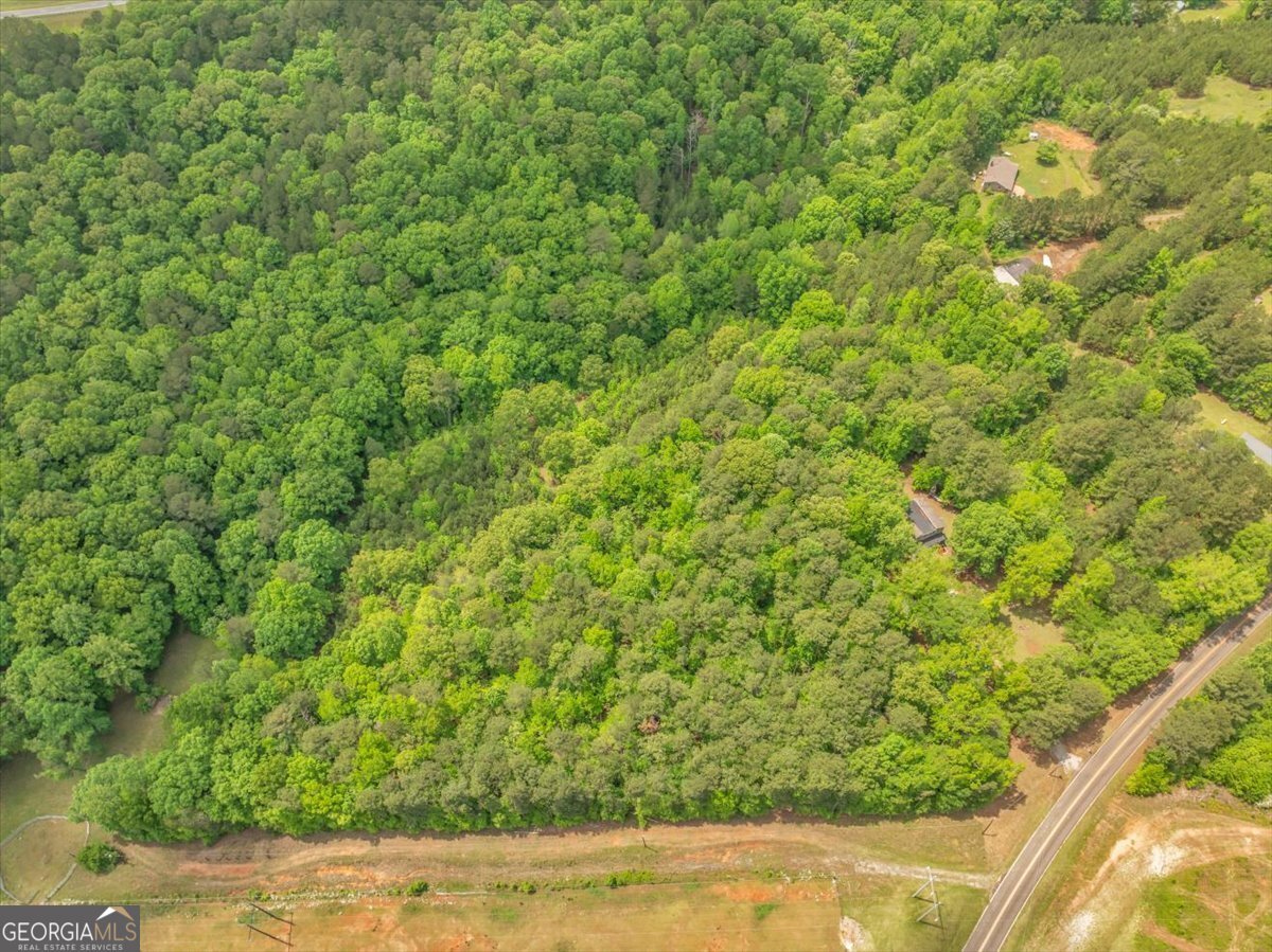 376 Mauldin Road Thomaston - 13
