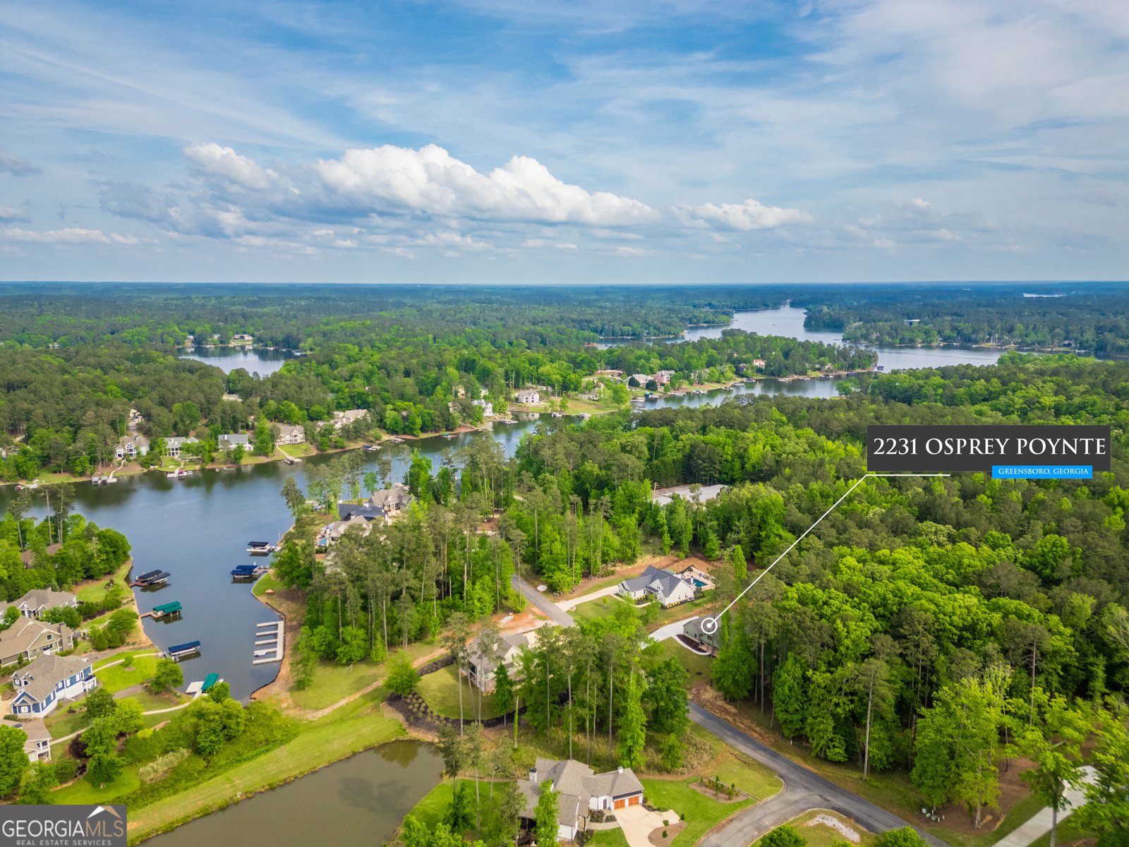2231 Osprey Poynte Greensboro - 2