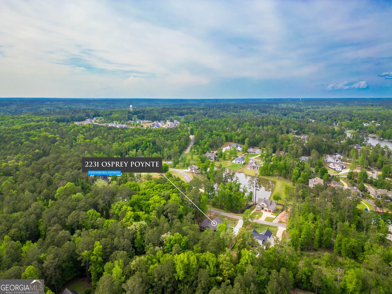 2231 Osprey Poynte Greensboro - 8