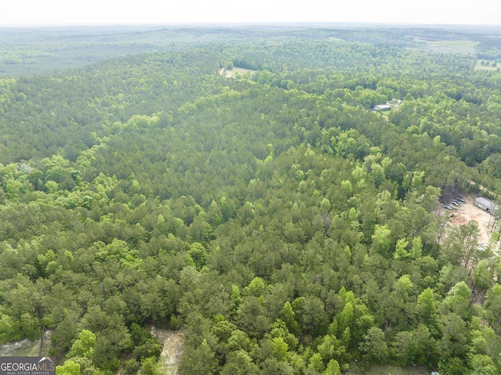 2140 Nesmith Road Gordon - 3