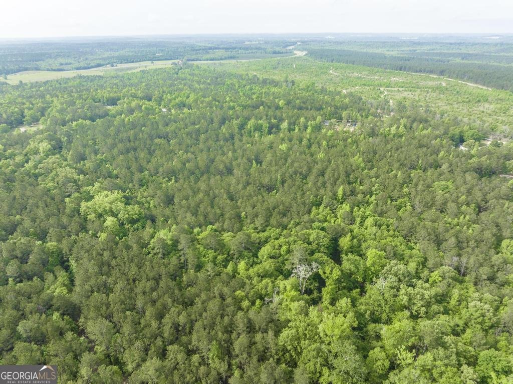 2140 Nesmith Road Gordon - 4