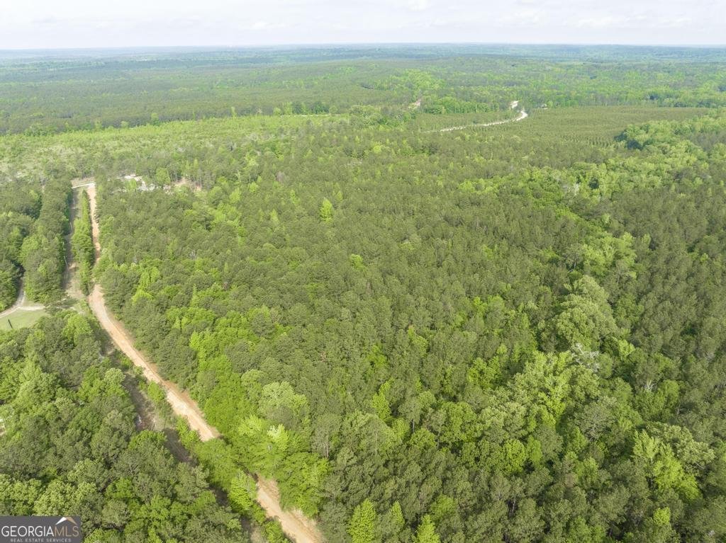 2140 Nesmith Road Gordon - 6