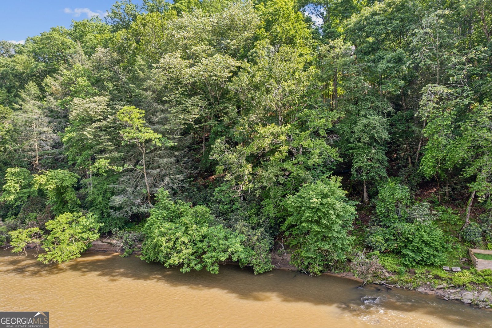 445 Greely Drive Ellijay - 16