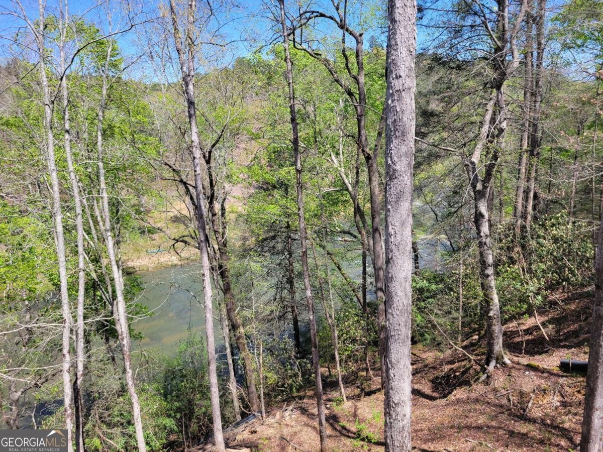 445 Greely Drive Ellijay - 23