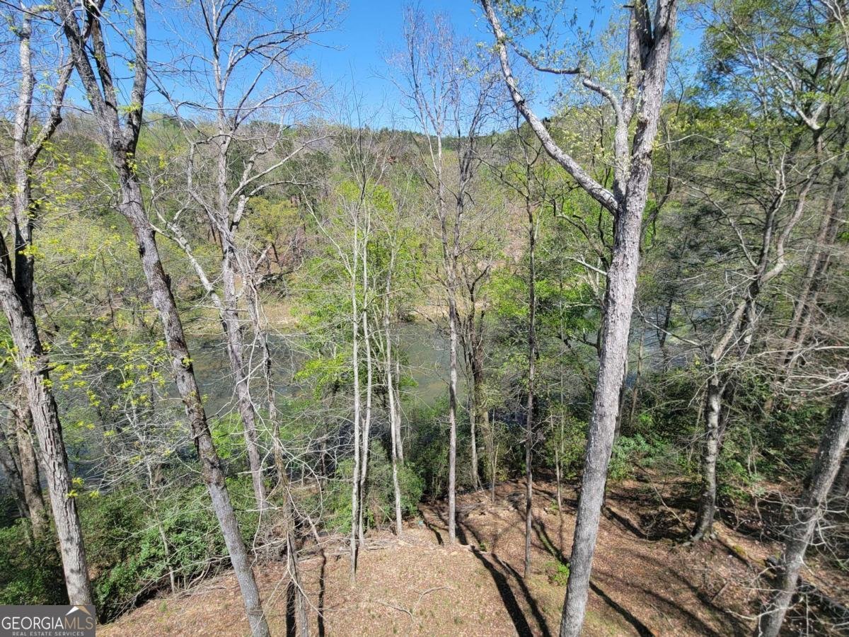 445 Greely Drive Ellijay - 26