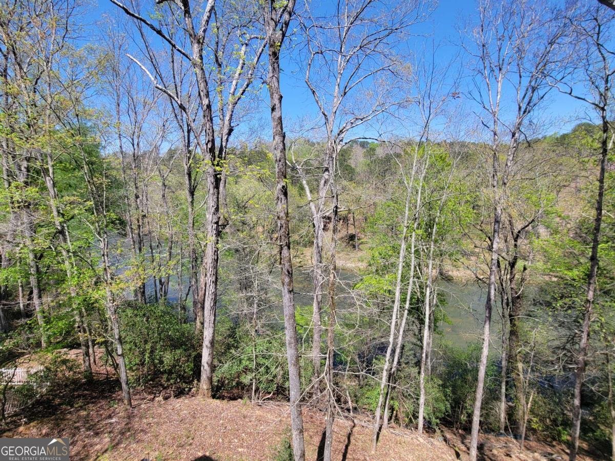 445 Greely Drive Ellijay - 27