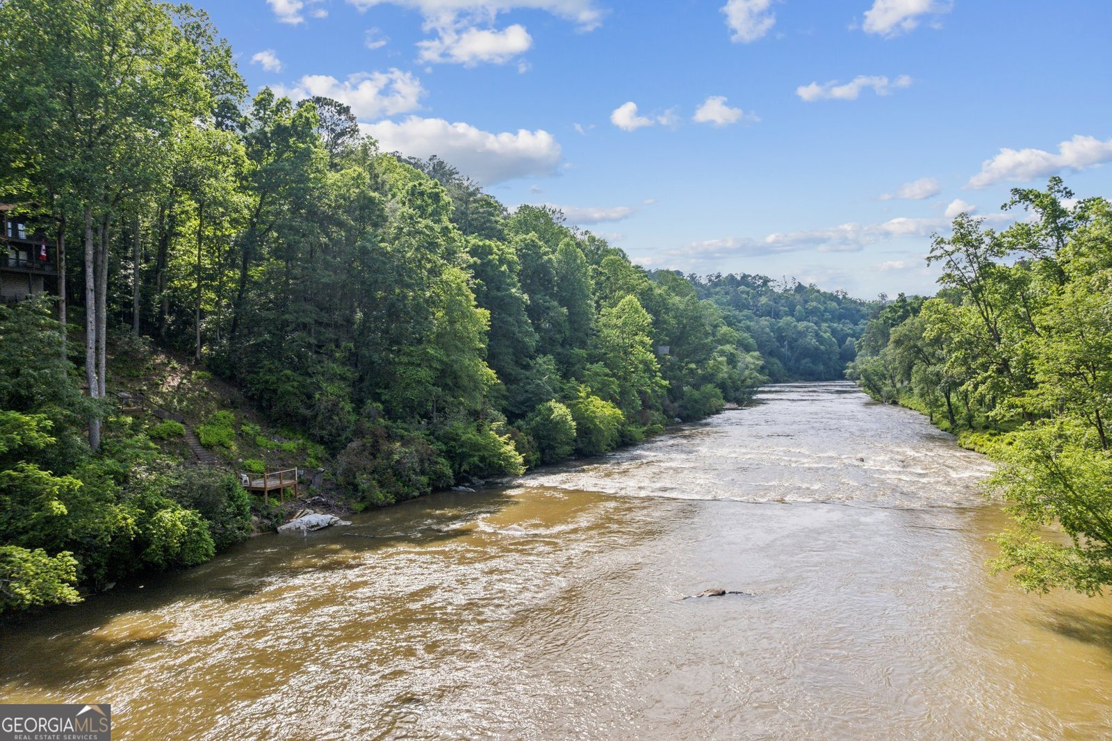 445 Greely Drive Ellijay - 3