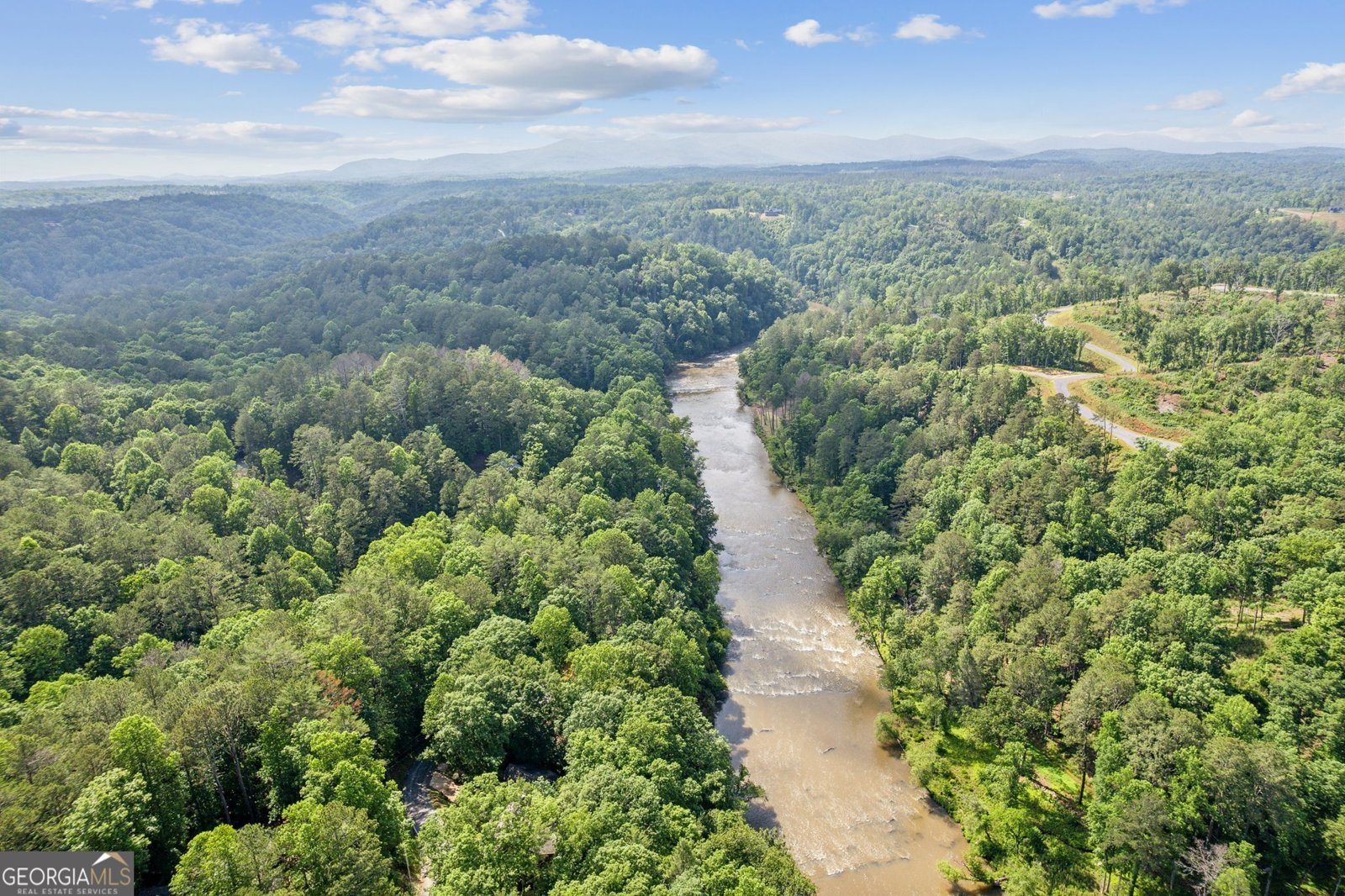 445 Greely Drive Ellijay - 5