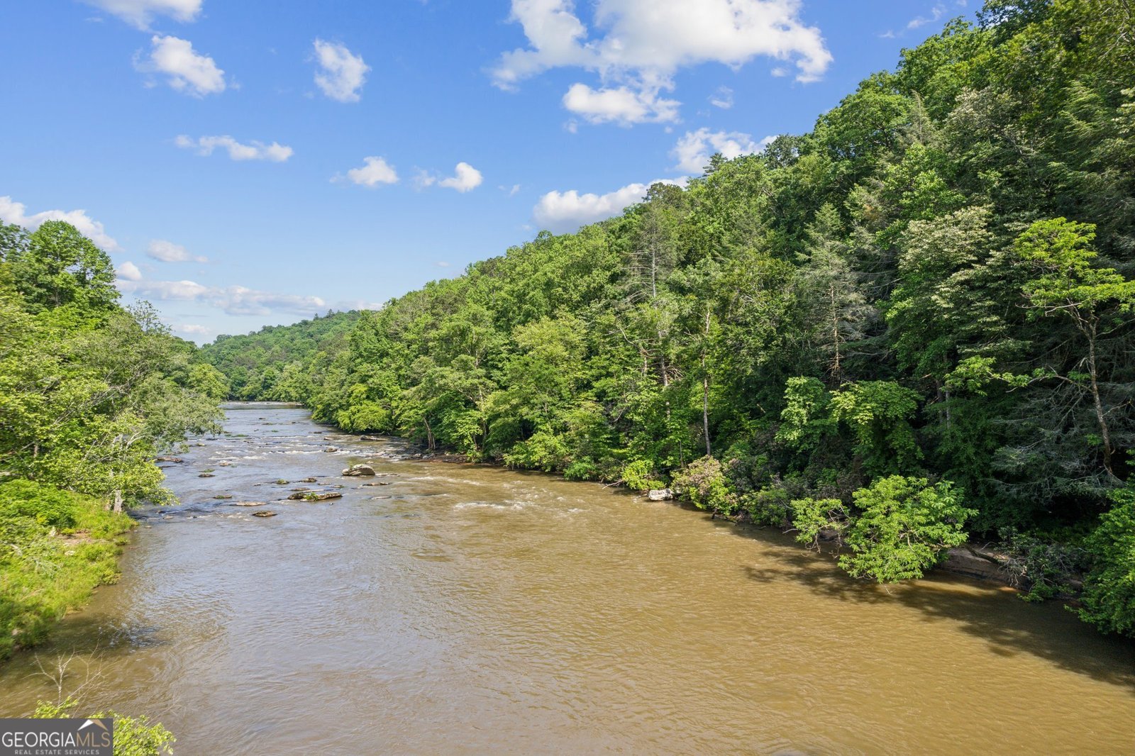 445 Greely Drive Ellijay - 7
