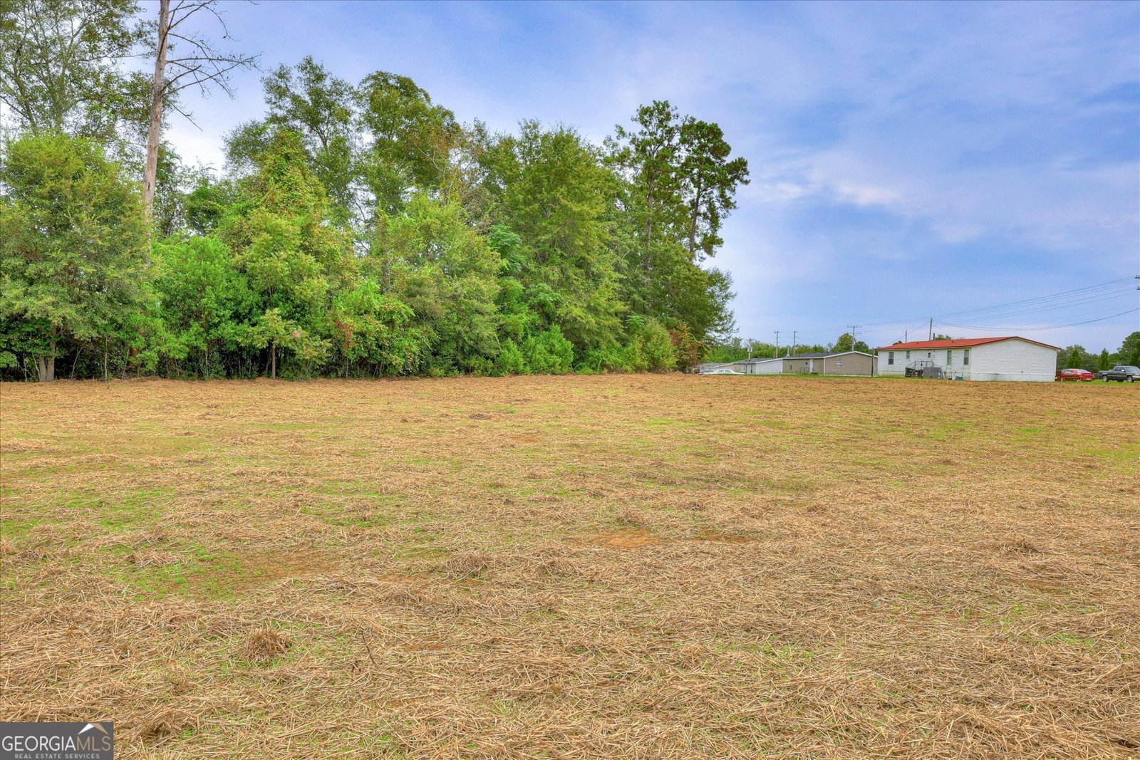 120 Foxridge Court Metter - 36