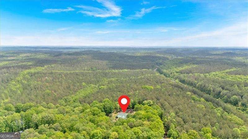 4332 Brushy Mountain Road Rockmart - 53