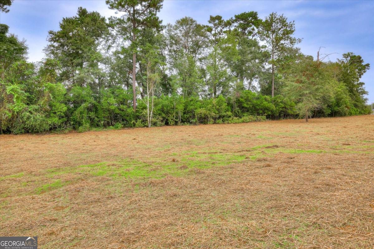 140 Foxridge Court Metter - 35