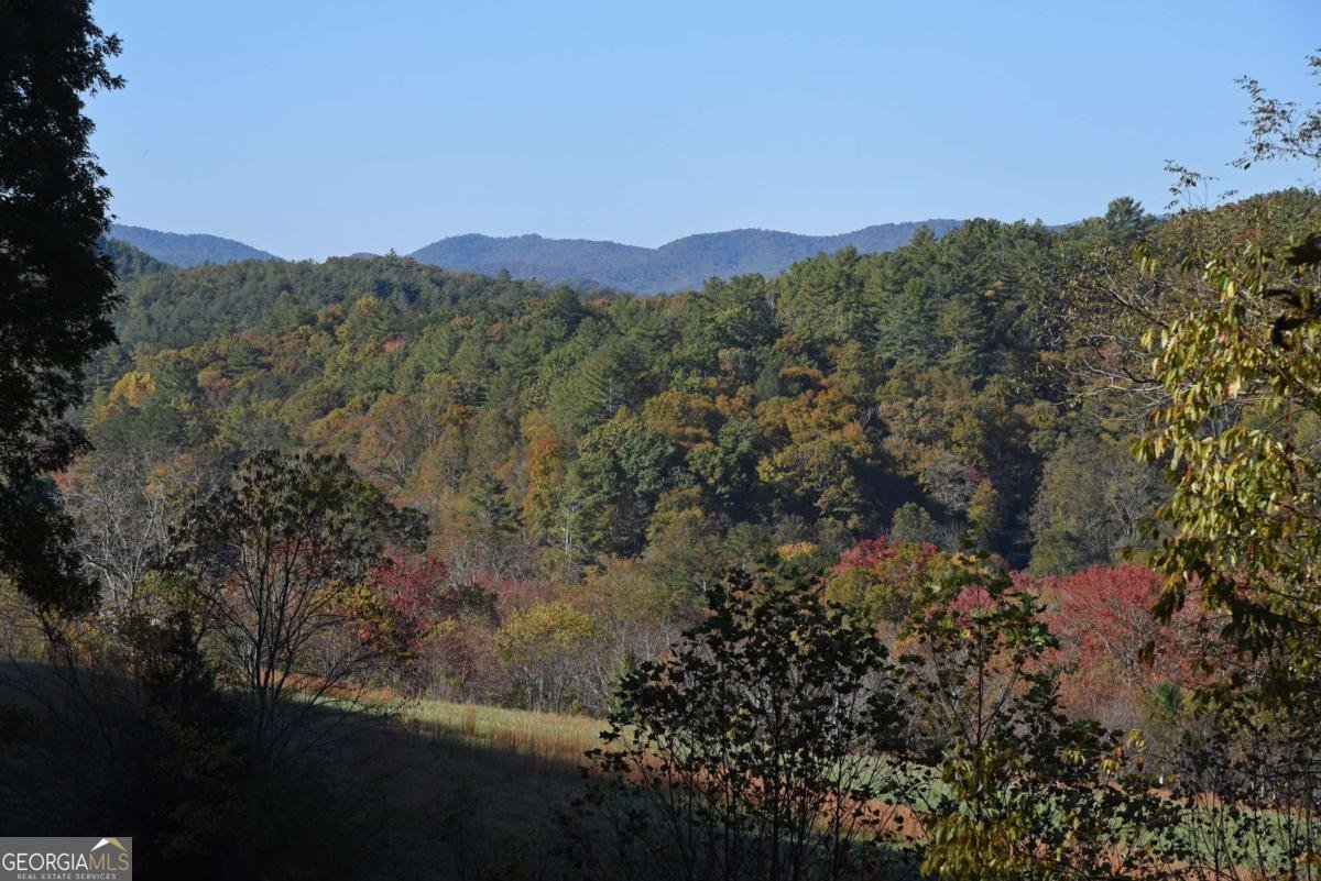 160 Mountain Field Drive Suches - 2