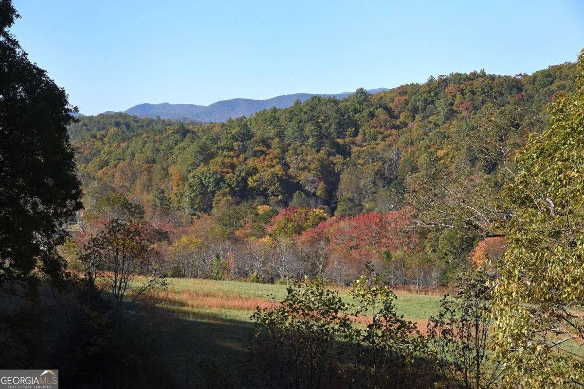 160 Mountain Field Drive Suches - 32