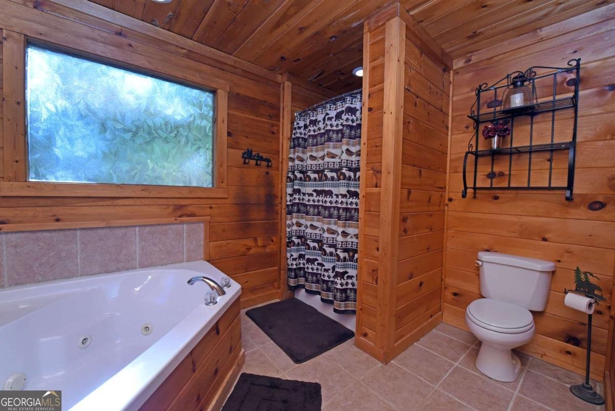 160 Mountain Field Drive Suches - 37