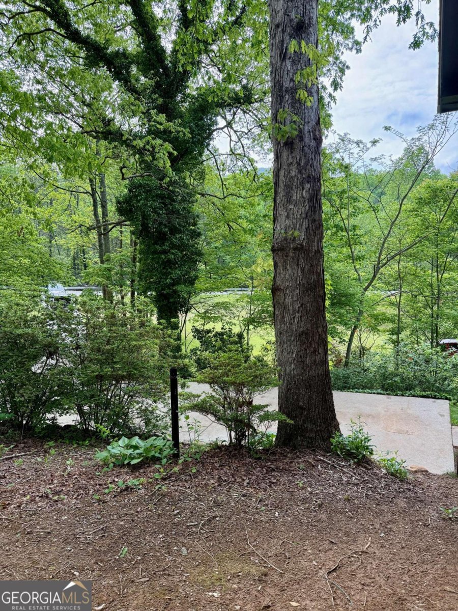 3517 Duncan Bridge Road Cleveland - 38