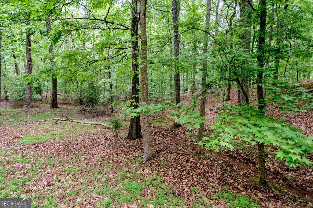 260 Emerald Lake Drive Fayetteville - 39